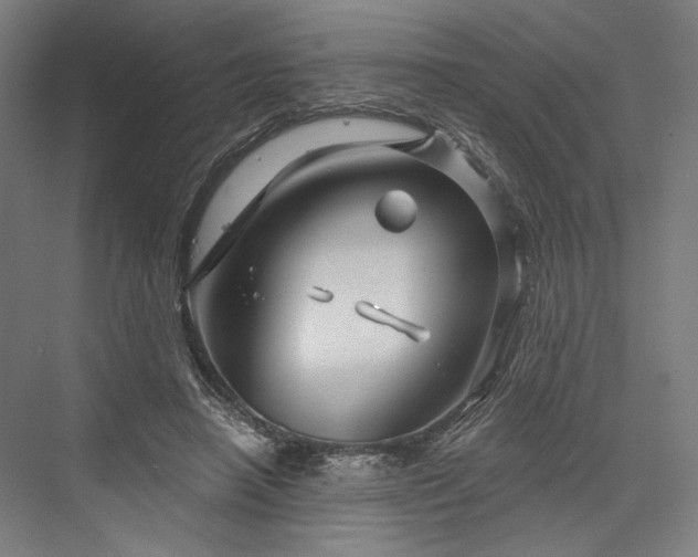 X0000076380450200610061129