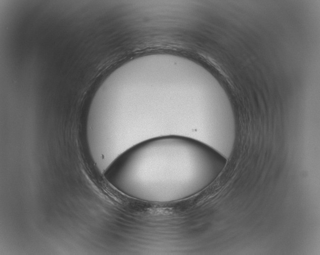 X0000076380451200610061129