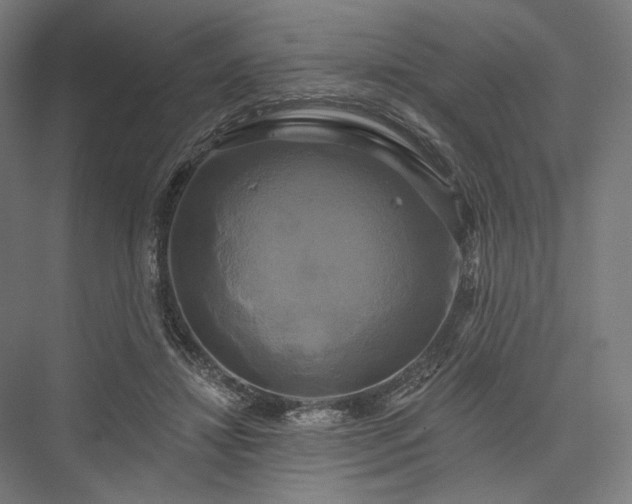 X0000076380452200610061129