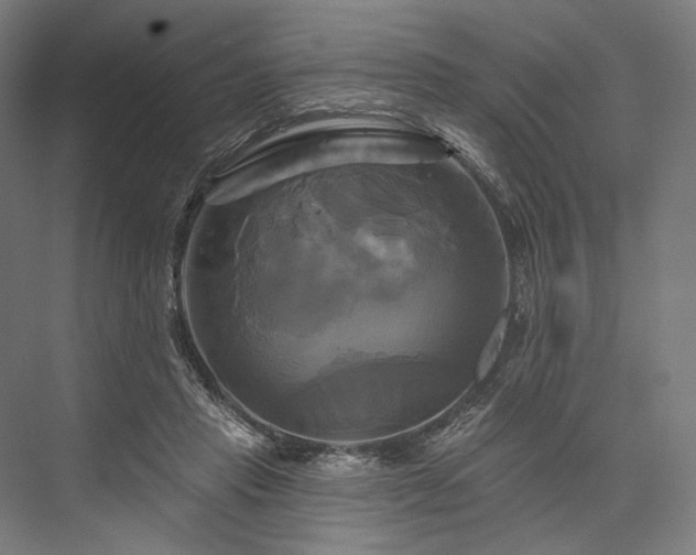 X0000076380453200610061129