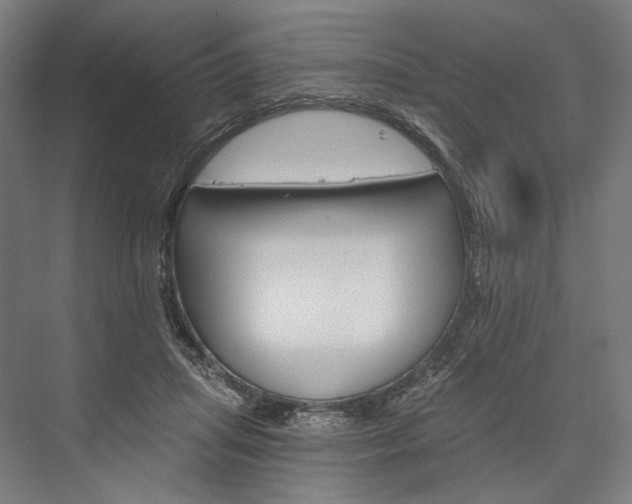 X0000076380455200610061129