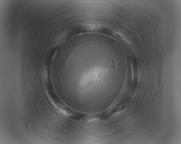 X0000076380456200610061129