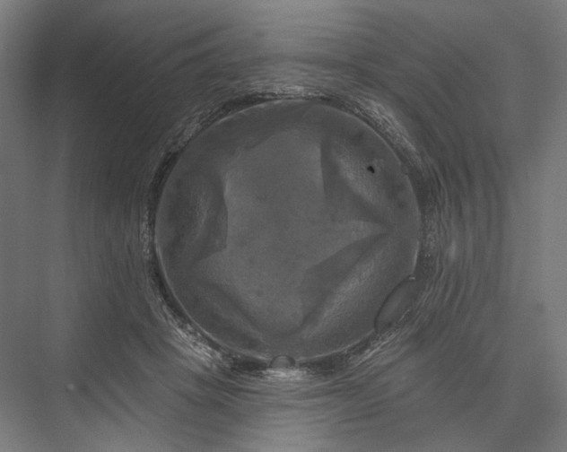 X0000076380457200610061129