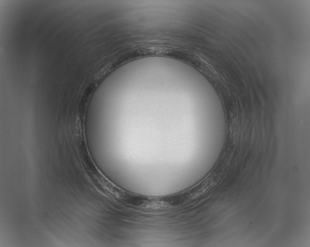 X0000076380459200610061129