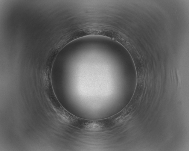 X0000076380460200610061129