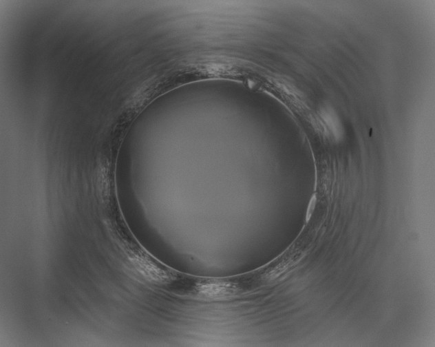 X0000076380461200610061129