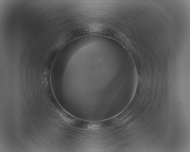 X0000076380462200610061129