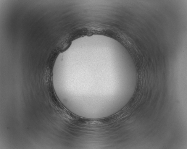 X0000076380463200610061129