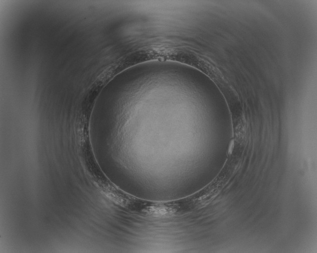 X0000076380464200610061129