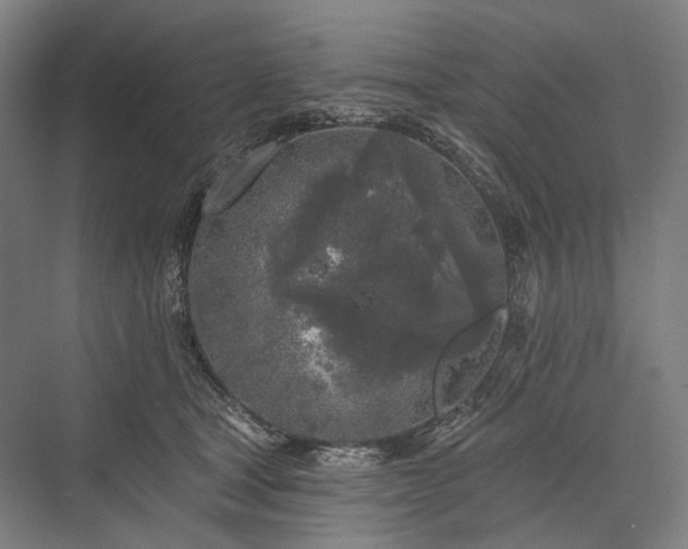 X0000076380465200610061129