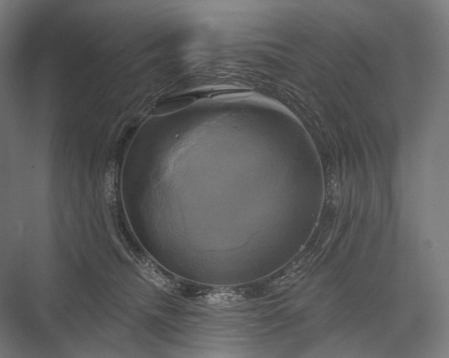 X0000076380468200610061129