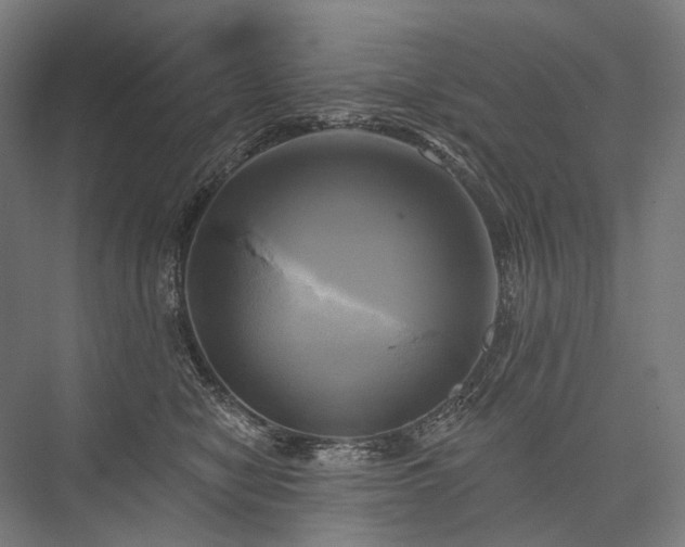 X0000076380470200610061129