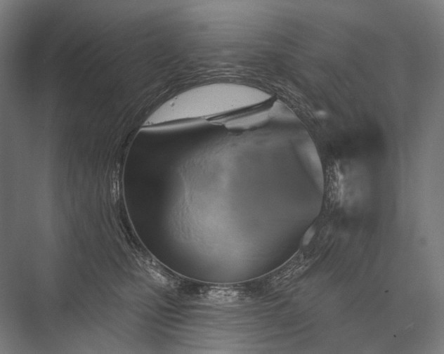 X0000076380471200610061129