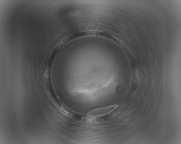 X0000076380472200610061129