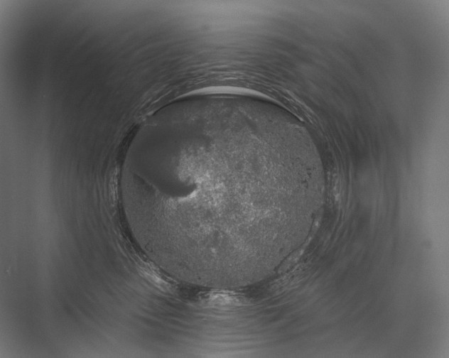 X0000076380475200610061129