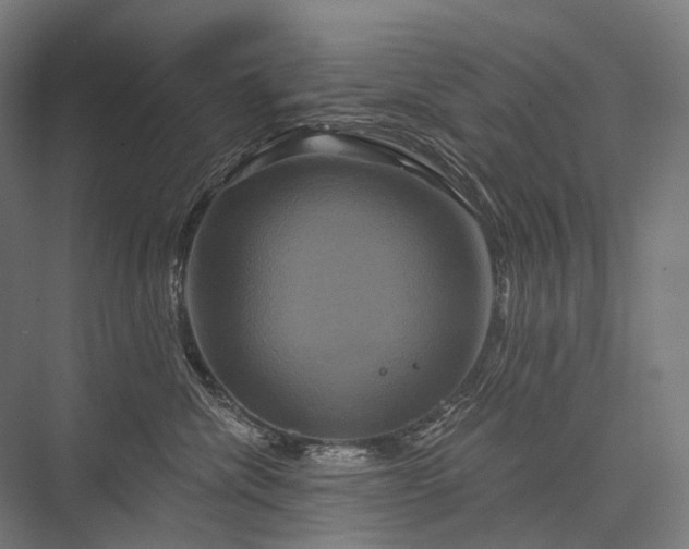 X0000076380476200610061129