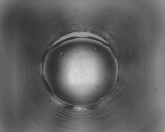 X0000076380477200610061129