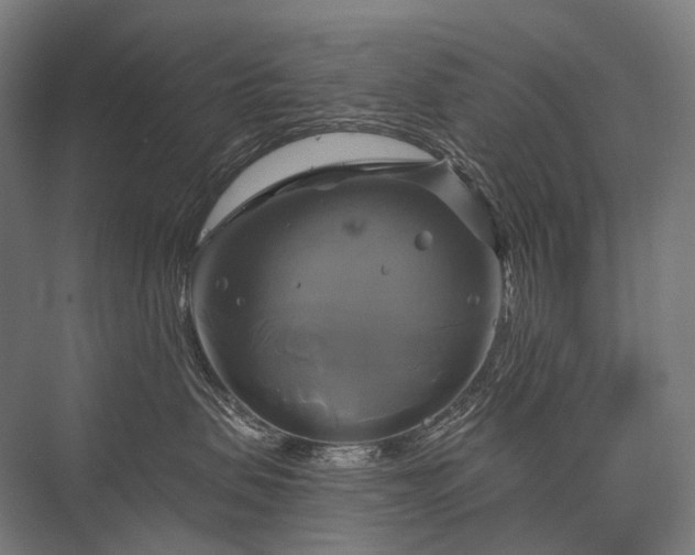 X0000076380479200610061129