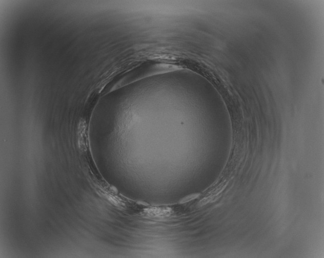 X0000076380480200610061129