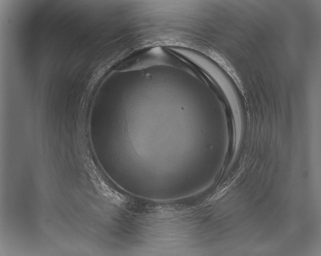 X0000076380481200610061128