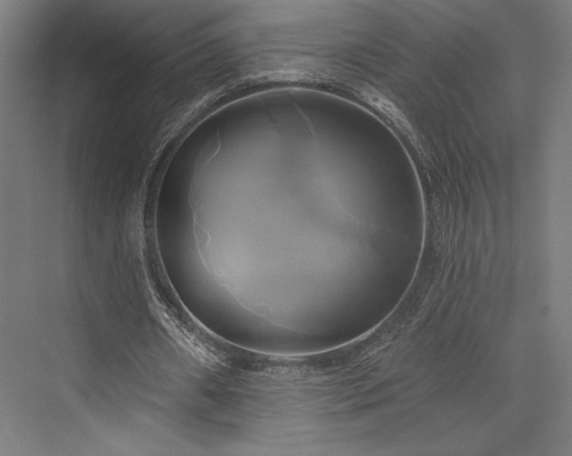 X0000076380482200610061128