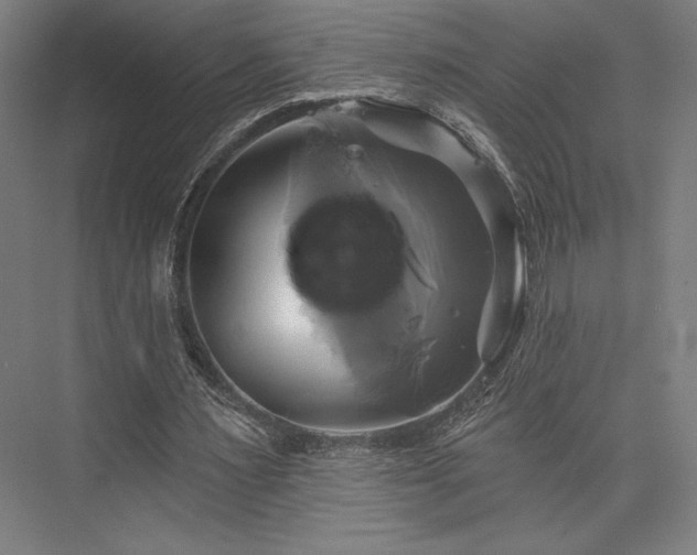 X0000076380483200610061128