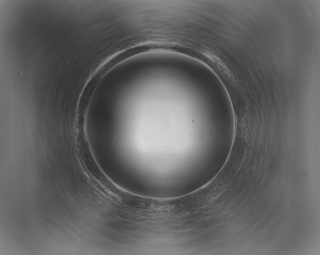 X0000076380484200610061128