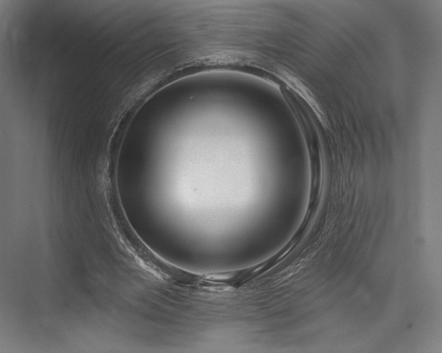 X0000076380485200610061128