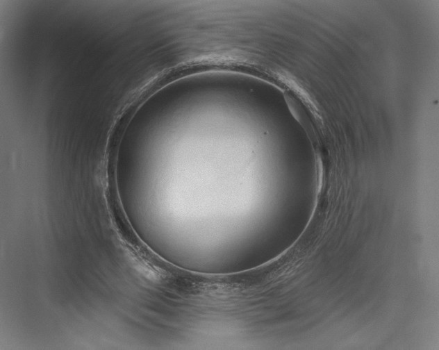 X0000076380486200610061128