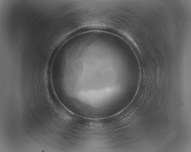 X0000076380487200610061128