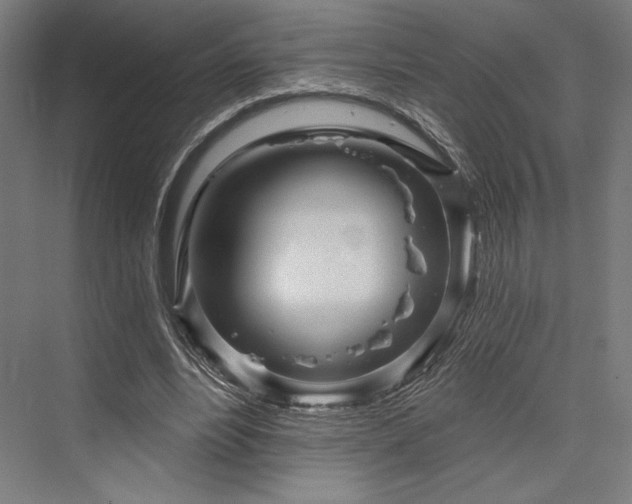 X0000076380488200610061128