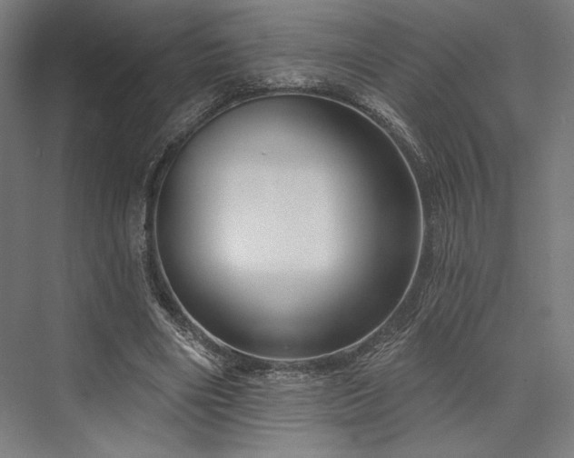 X0000076380490200610061128