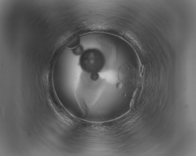 X0000076380491200610061128