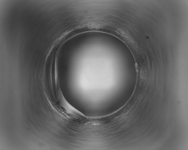 X0000076380492200610061128