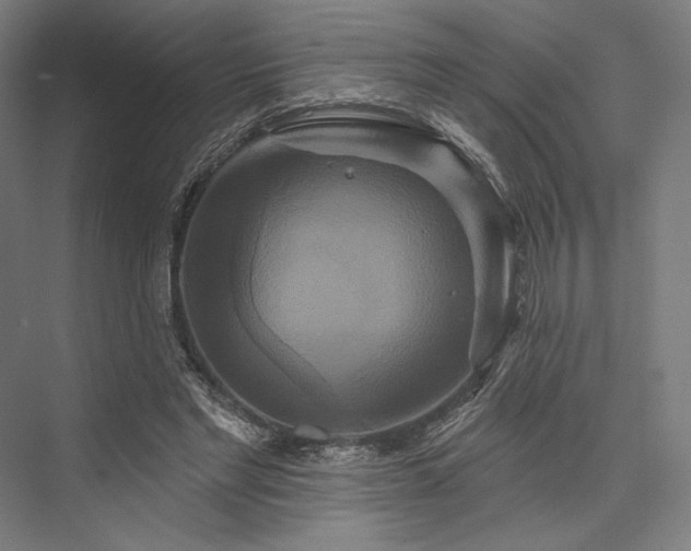 X0000076380493200610061128