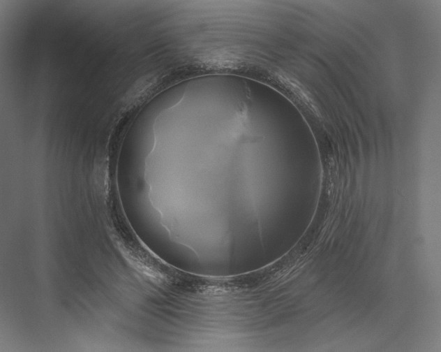 X0000076380494200610061128