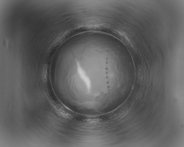 X0000076380495200610061128