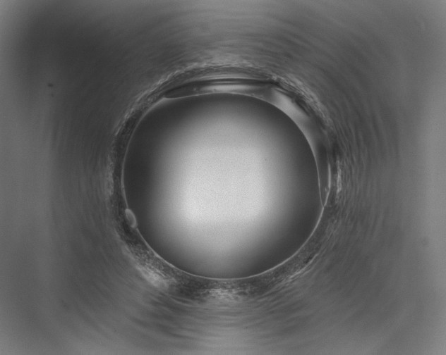 X0000076380496200610061128