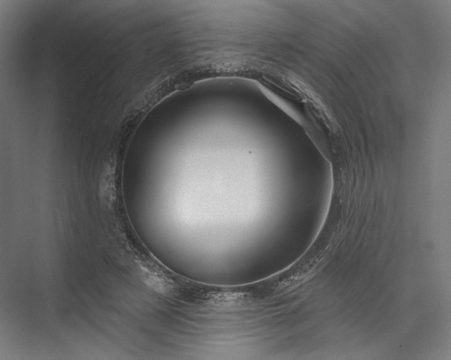 X0000076380497200610061128