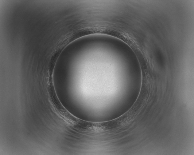 X0000076380498200610061128