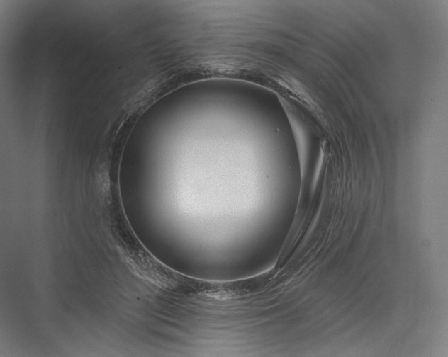 X0000076380500200610061128