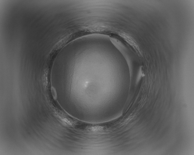 X0000076380501200610061128