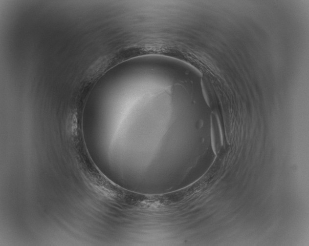 X0000076380502200610061128