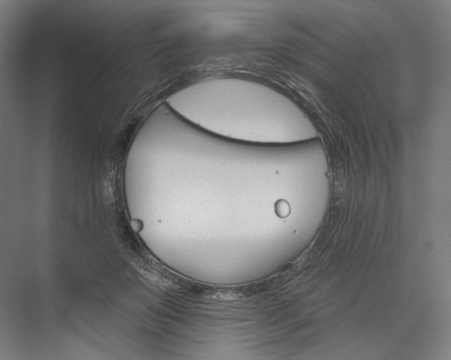 X0000076380503200610061128