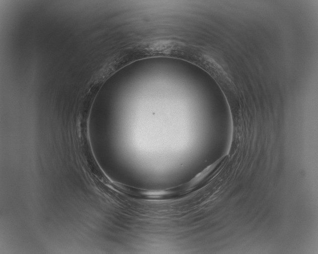 X0000076380504200610061128