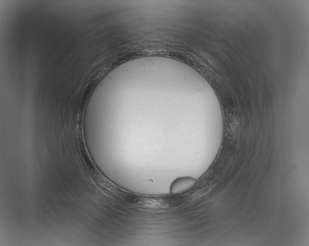 X0000076380507200610061128