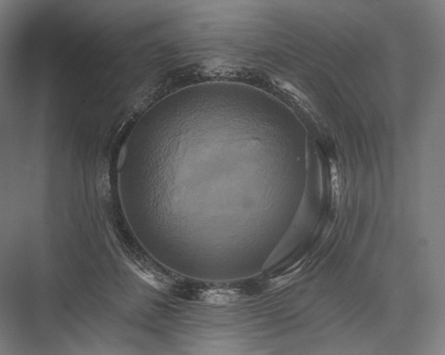 X0000076380508200610061128