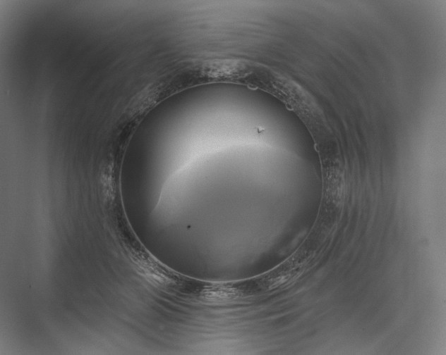 X0000076380510200610061128