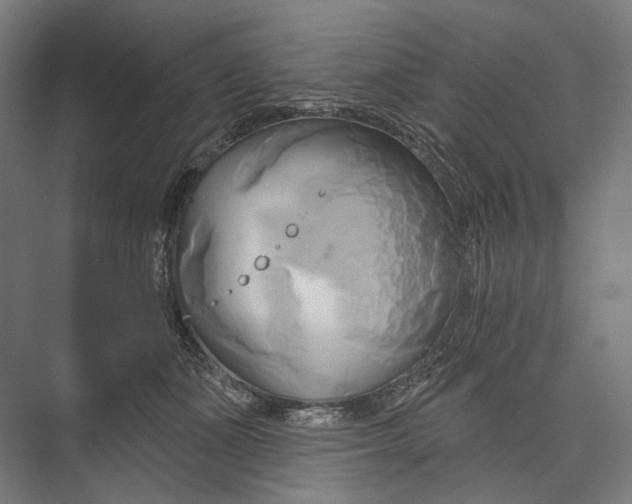 X0000076380511200610061128