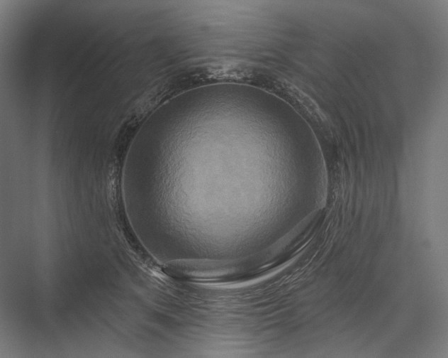 X0000076380513200610061128